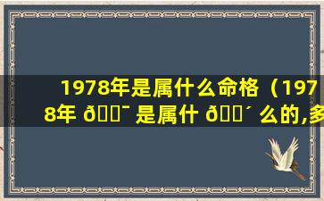 1978年是属什么命格（1978年 🐯 是属什 🐴 么的,多少岁了）